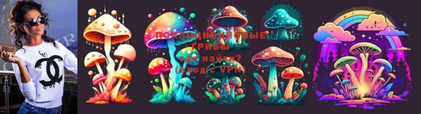 дживик Горняк