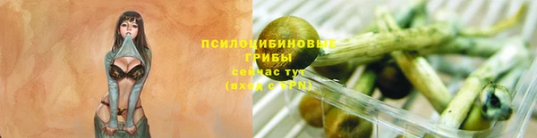 apvp Горнозаводск
