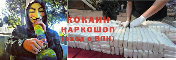 дживик Горняк