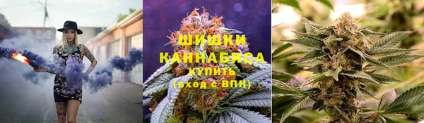 apvp Горнозаводск