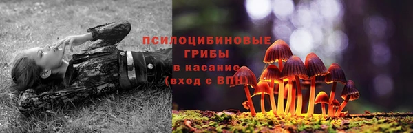 бутират Горно-Алтайск